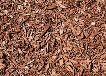 Mulch